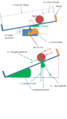 Vorschaubild der Version vom 11:30, 12. Feb. 2014