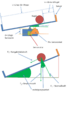 Vorschaubild der Version vom 15:32, 19. Jan. 2014