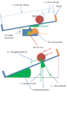 Vorschaubild der Version vom 17:08, 19. Jan. 2014